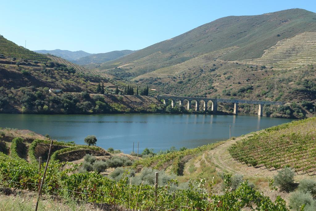 Pinhal do Douro Quinta Vale De Carvalhoゲストハウス エクステリア 写真